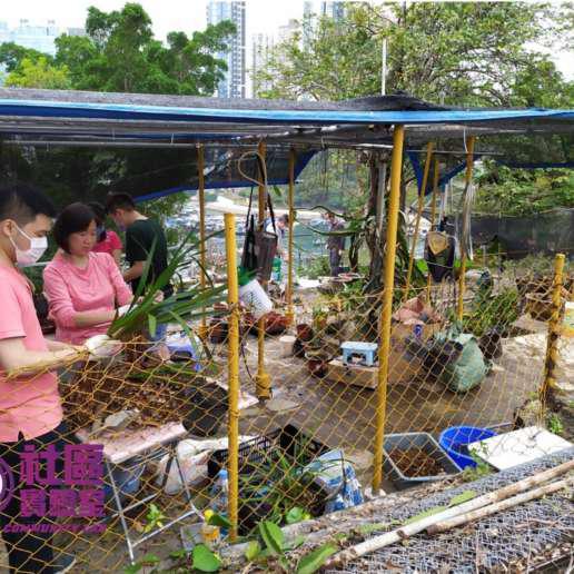 Earth Day Gardening